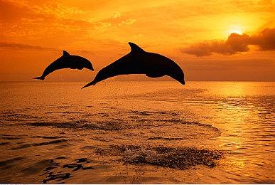 《犯罪现场清洁师》登陆Steam 打扫干净获取报酬